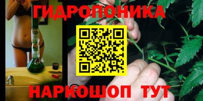 СК Апшеронск