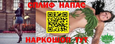 наркотики Сланцы