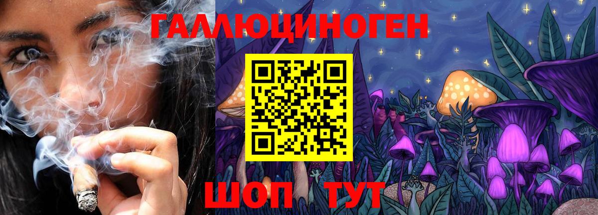Псилоцибиновые грибы GOLDEN TEACHER Таганрог