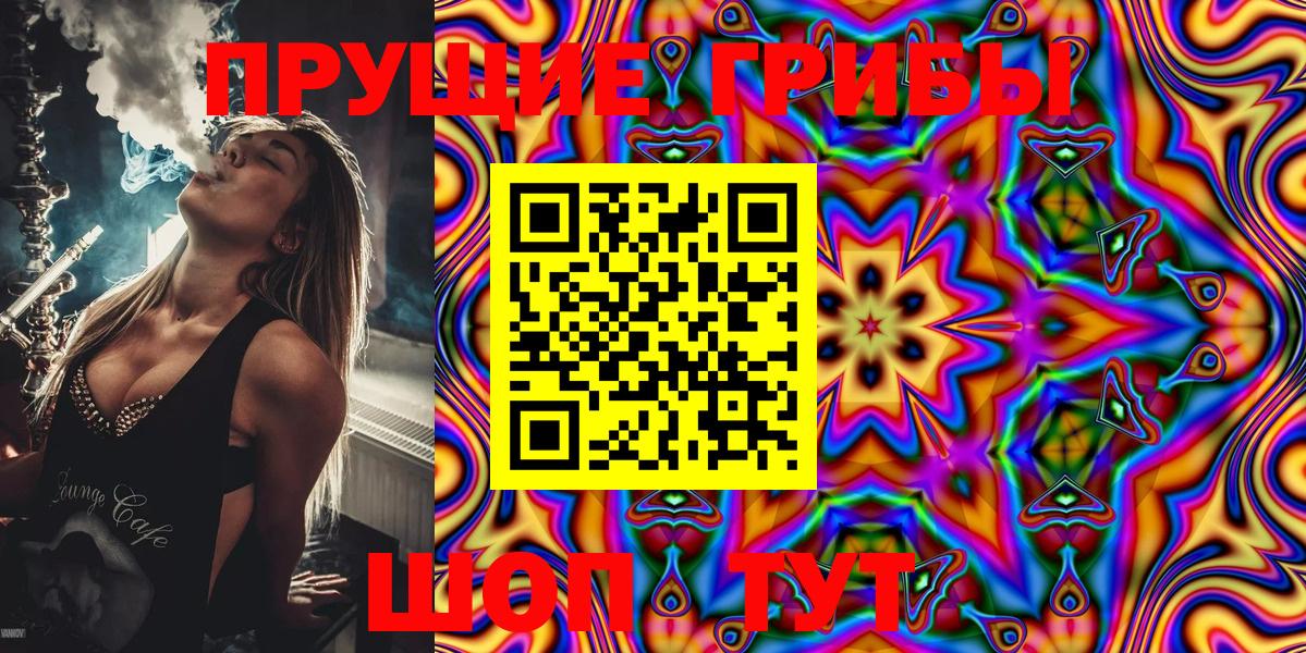 Псилоцибиновые грибы Cubensis  Таганрог  Псилоцибиновые грибы Cubensis 