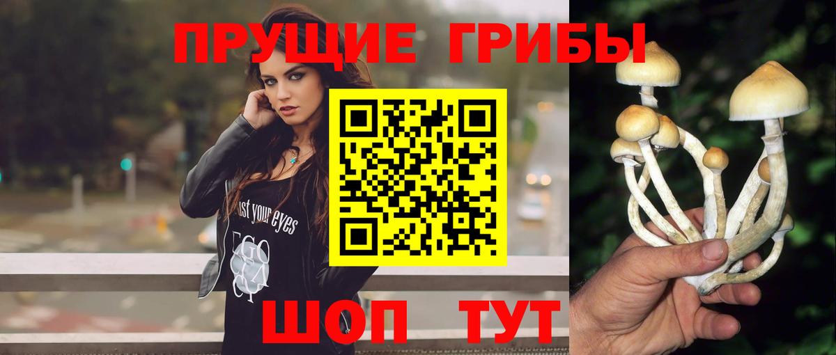 Таганрог  Галлюциногенные грибы Cubensis  Вход с VPN  Псилоцибиновые грибы мицелий 
